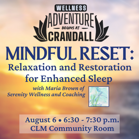 Mindful Reset