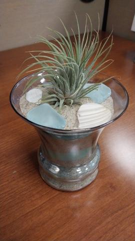 Small blue tinted transparent vase with layers of natural and colored sand. It is topped with an air plant, sea glass and sea shells. 