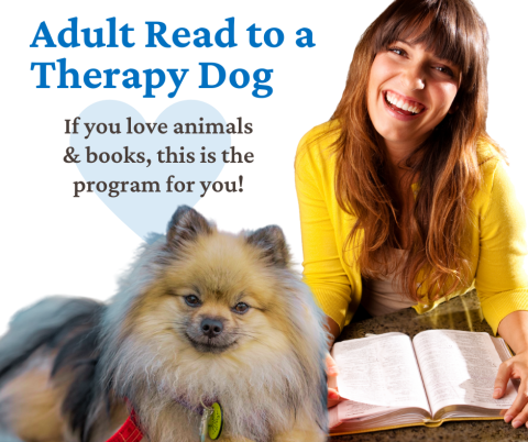 Adult woman in a yellow shirt with an open book. She is sitting behind a brown and black Pomeranian dog. 