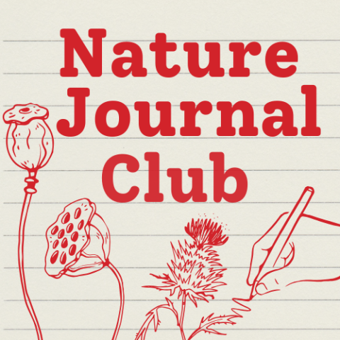 Over lined off-white paper text in red reads "Nature Journal Club". Below the text are three red line drawings from left to right: a poppy seedpod, a lotus seedpod facing left, and a thistle. To the right of the thistle is a line drawing of a hand holding a pencil and drawing a line that connects to the leaf of the thistle. 