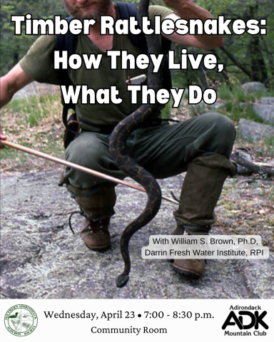 Photo of William S Brown from 1981 holding an adult male Timber Rattlesnake vertically by the snake's tail. Brown is standing on a rocky foundation with trees in the background.  White text over the top of the image reads: Timber Rattlesnakes: How They Live, What They do.  Text near the bottom reads: "With William S. Brown, Ph.D, Darrin Fresh Water Institute, RPI." The Southern Adirondack Audubon Society logo is on the bottom left, and the Adirondack Mountain Club's ADK logo on the bottom right.  