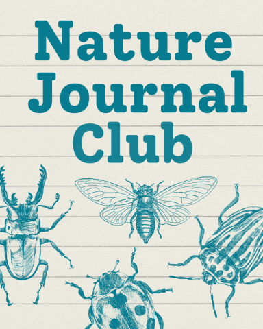 On lined paper in teal text reads "Nature Journal Club." Below that are 4 sketches of insects, also in teal. 