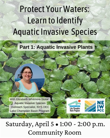 Green Water Chestnut on the surface of water. Over this image is text in black with a translucent white background: "Protect Your Waters: Learn to Identify Aquatic Invasive species" and "Part 1: Aquatic invasive Plants."  An image of Elizabeth Whitmore-Stolar on a boat on the water is in a circle paired with her title. Next to this are the logos for the Lake Champlain Basin Program and NEIWPCC. The date, time, and location for the event are at the bottom. 