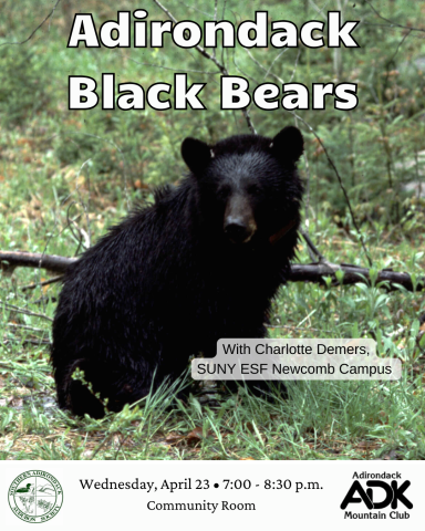 A black bear sitting on a forest floor with the text "Adirondack Black Bears" in white text above its head. Near the bottom of the image With Charlotte Demers, SUNY ESF Newcomb Campus is highlighted in transparent white. At the bottom the Southern Adirondack Audubon Society is on the Left and the ADK on the right with the date, time, and location in the middle. 