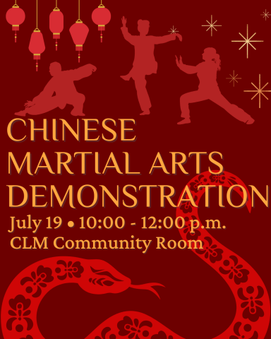 Chinese Martial Arts Demonstration