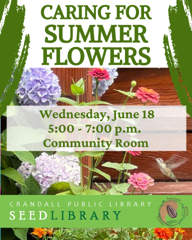 Caring for summer flowers