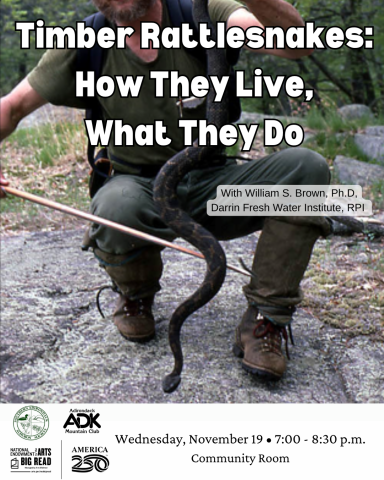 man wearing dark clothes holding a snake