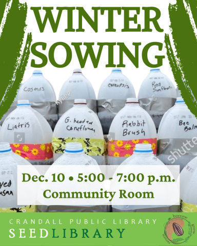 winter sowing milk jugs