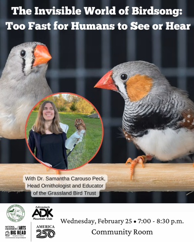 Background image includes two Zebra finches on a wooded dowel. Between them is a circle with the image of the presenter holding a red morph Eastern screech owl on a gloved hand..