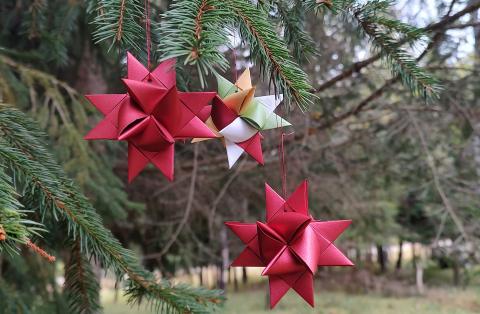 paper star ornaments in evergreen tree