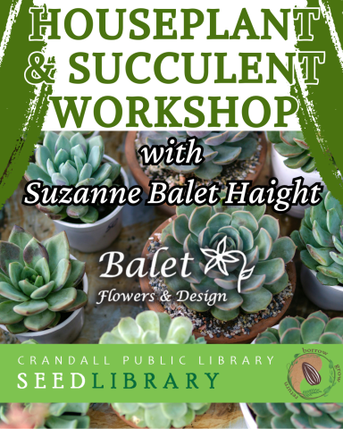 Houseplant and Succulent workshop