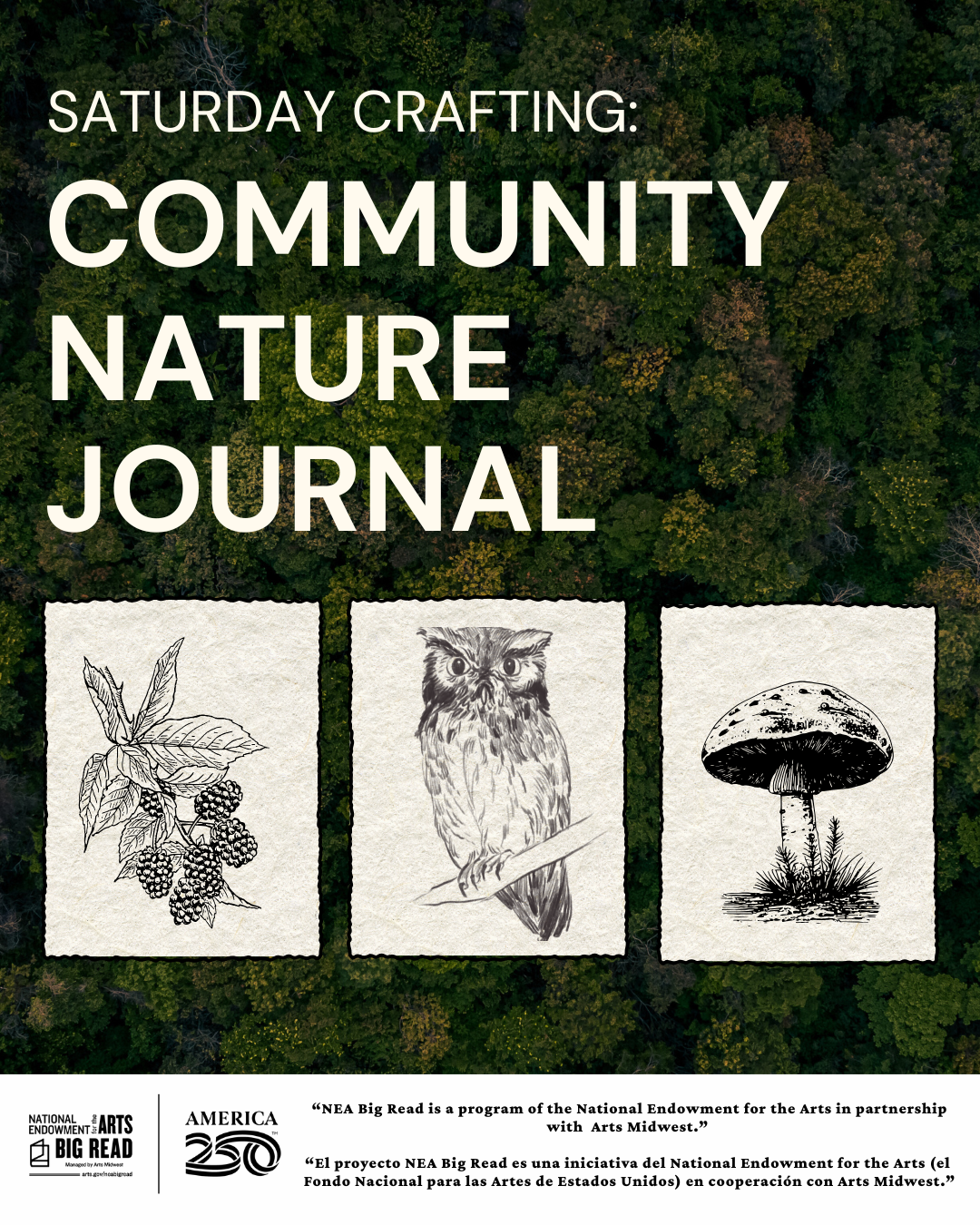 Tree background with hand drawings of a mushroom, owl, and plant. 